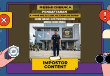 Hoaks: Pendaftaran CPNS Bea Cukai 2026