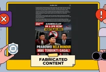 Hoaks: MK dan DPR Resmi Hentikan MBG