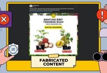 Hoaks: Tautan Pendaftaran Bantuan Bibit Tanaman Buah