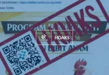 Hoaks: Tautan Pendaftaran Program Bantuan Bibit Ayam 2026