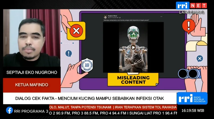 Mafindo Pastikan Klaim Cium Kucing Sebabkan Infeksi Otak Tidak Benar