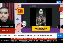 Mafindo Pastikan Klaim Cium Kucing Sebabkan Infeksi Otak Tidak Benar