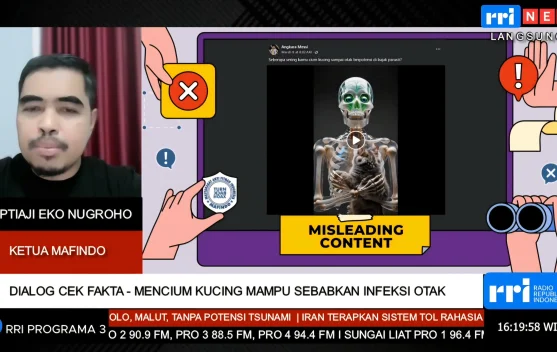 Mafindo Pastikan Klaim Cium Kucing Sebabkan Infeksi Otak Tidak Benar