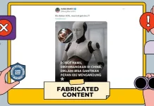 Hoaks: China Kembangkan Robot yang Dapat Mengandung Bayi