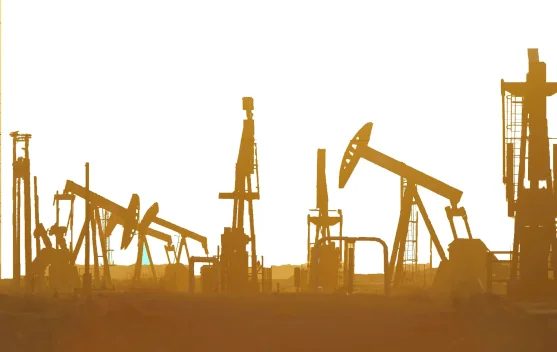 Indonesia Seeks Alternative Oil Sources
