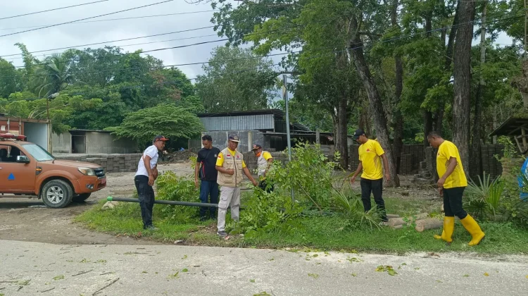 TRC BPBD Belu Geser Pohon Tumbang