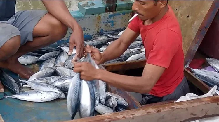 Nelayan Malaka Bertaruh Nyawa Hadapi Gelombang Tinggi