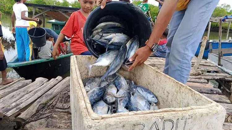 Nelayan Malaka Bertaruh Nyawa Hadapi Gelombang Tinggi