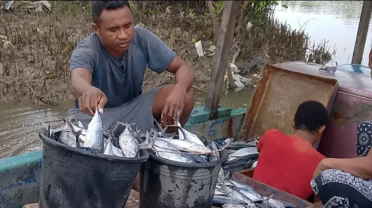 Nelayan Malaka Bertaruh Nyawa Hadapi Gelombang Tinggi