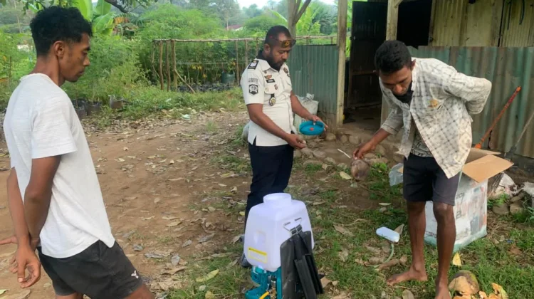 Lapas Atambua Optimis Panen Raya Awal Juni
