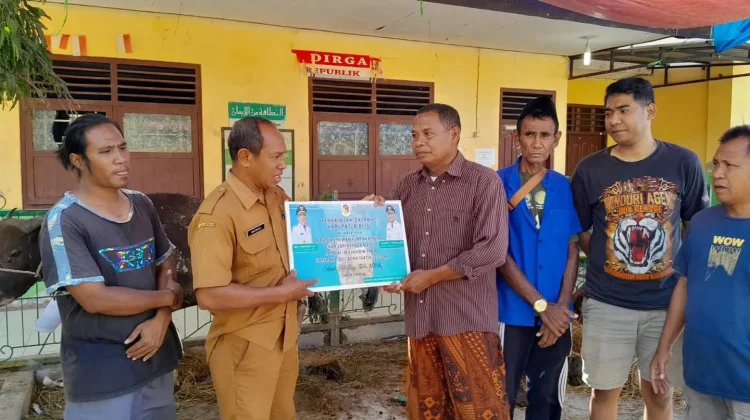 Empat Masjid di Belu Menerima Bantuan Sapi Kurban