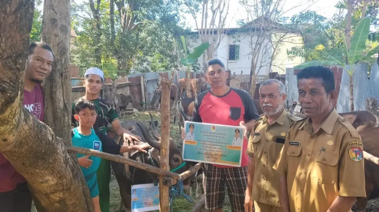 Empat Masjid di Belu Menerima Bantuan Sapi Kurban