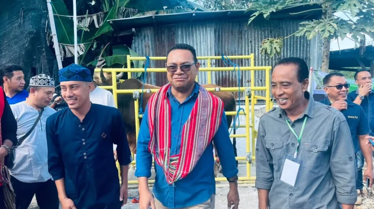 sapi dari PresidenJamaah Masjid Al-Ikhlas Halilulik Terima Sapi Presiden RI
