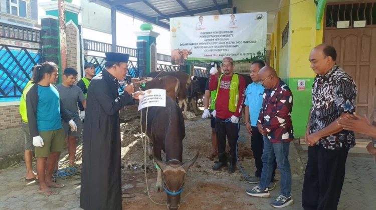 Sapir Gubernur Resmi Diserahkan ke Sejumlah Masjid di Belu