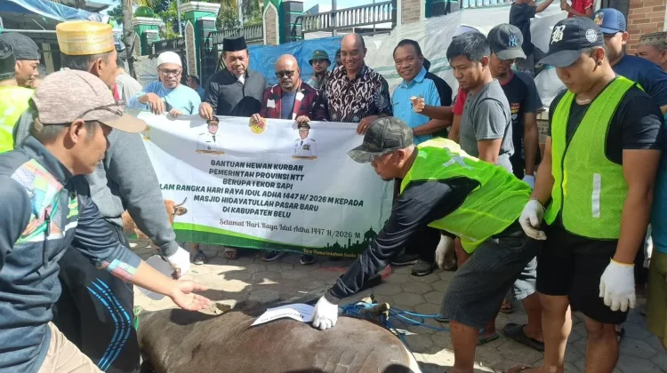 Sapir Gubernur Resmi Diserahkan ke Sejumlah Masjid di Belu
