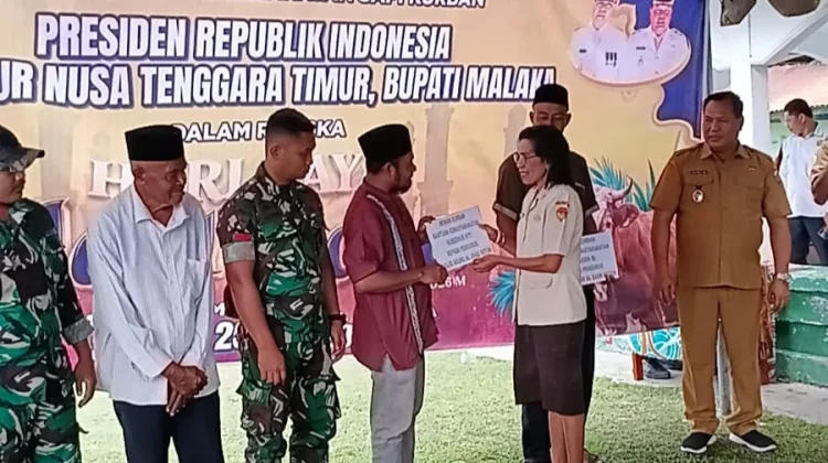 Pemkab Malaka Salurkan Lima Sapi Kurban untuk Masjid