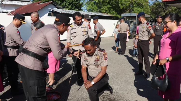 Personil Polres Belu Rayakan Kenaikan Pangkat dengan Tradisi Meriah