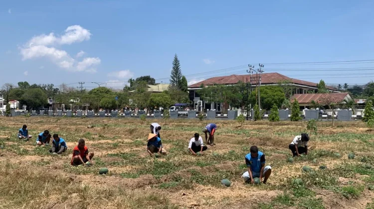 Panen 2,5 Ton Semangka, Lapas Atambua Bekali Warga Binaan Agrobisnis