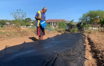 Lapas Atambua Tanam Hortikultura Dukung Ketahuan Pangan Nasional