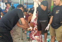 Sapir Gubernur Resmi Diserahkan ke Sejumlah Masjid di Belu