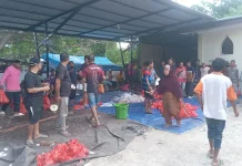Pemkab Malaka Salurkan Lima Sapi Kurban untuk Masjid
