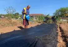 Lapas Atambua Tanam Hortikultura Dukung Ketahuan Pangan Nasional
