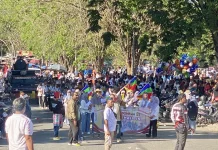 Ratusan Tim Unjuk Kreativitas pada Karnaval Kebangsaan di Atambua