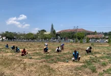Panen 2,5 Ton Semangka, Lapas Atambua Bekali Warga Binaan Agrobisnis