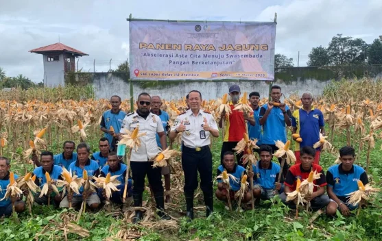 Panen Raya Jagung Lapas Atambua