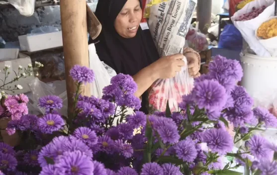 Permintaan Tinggi, Harga Bunga Naik Drastis Februari