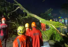 Cuaca Ekstrem, Kota Tasikmalaya dikepung Bencana
