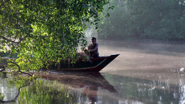 Menjaga Hutan Mangrove, Menyelamatkan Rumah Bekantan