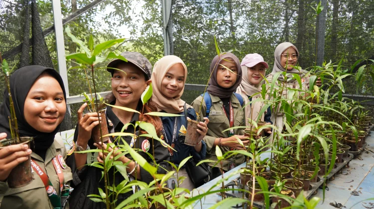 Menjaga Hutan Mangrove, Menyelamatkan Rumah Bekantan