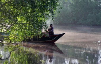 Menjaga Hutan Mangrove, Menyelamatkan Rumah Bekantan