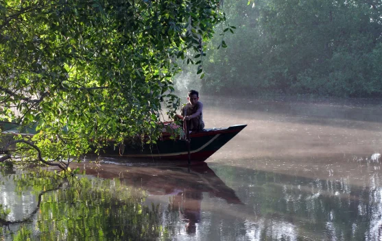 Menjaga Hutan Mangrove, Menyelamatkan Rumah Bekantan