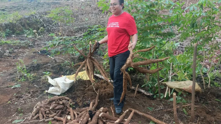 Dukung Ketahanan Pangan, Anggota DPR RI, Ruth Rumkabu Dorong Warga Biak Berkebun