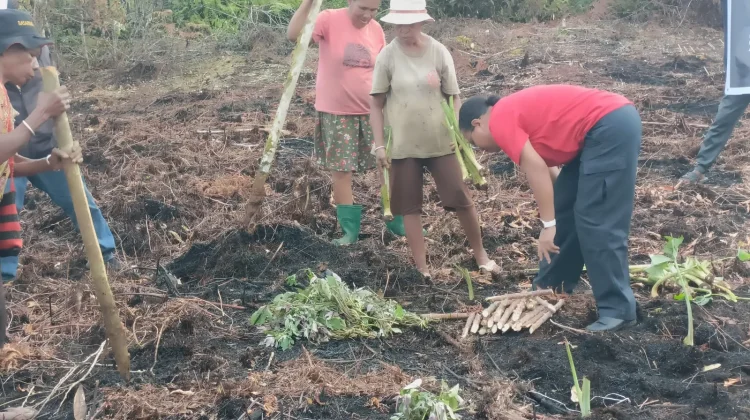 Dukung Ketahanan Pangan, Anggota DPR RI, Ruth Rumkabu Dorong Warga Biak Berkebun