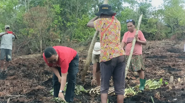 Dukung Ketahanan Pangan, Anggota DPR RI, Ruth Rumkabu Dorong Warga Biak Berkebun