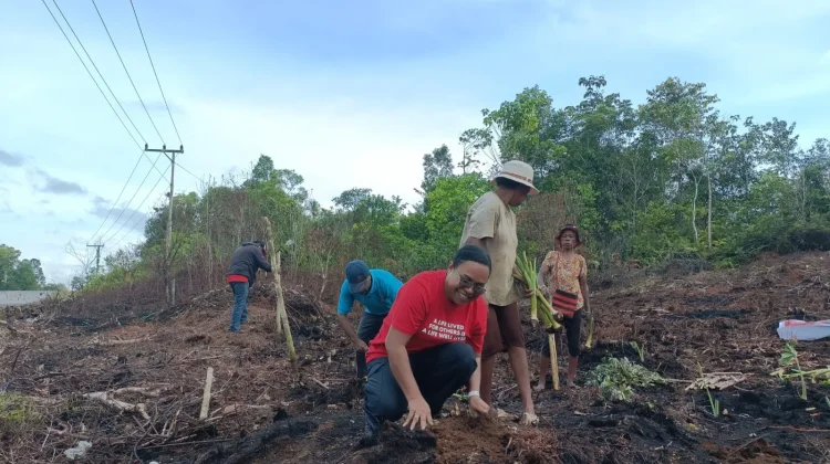 Dukung Ketahanan Pangan, Anggota DPR RI, Ruth Rumkabu Dorong Warga Biak Berkebun