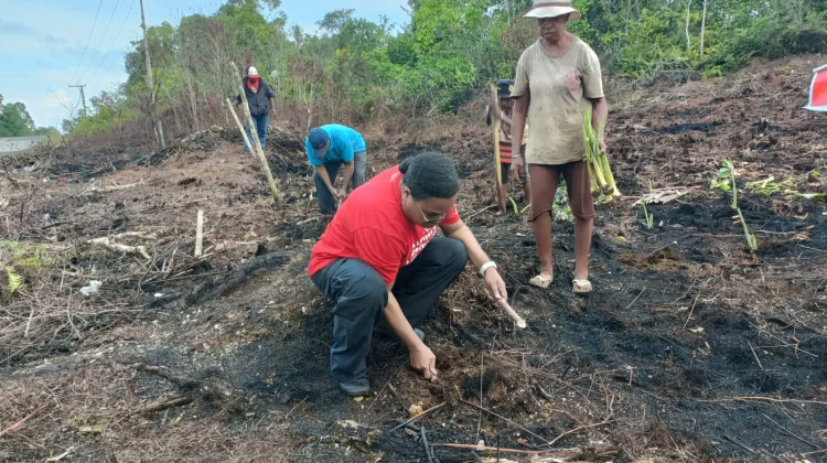 Dukung Ketahanan Pangan, Anggota DPR RI, Ruth Rumkabu Dorong Warga Biak Berkebun