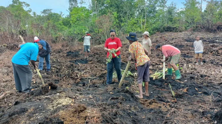 Dukung Ketahanan Pangan, Anggota DPR RI, Ruth Rumkabu Dorong Warga Biak Berkebun