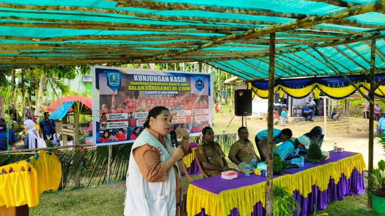 Kasus Malaria di Wilayah Biak Timur Masih Tinggi