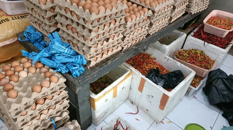 Harga Berbagai Komoditas Pangan di Biak Numfor Naik, termasuk Minyak Goreng