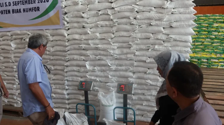 Bulog Biak Pastikan Kualitas Beras Bantuan Pangan sebelum Disalurkan