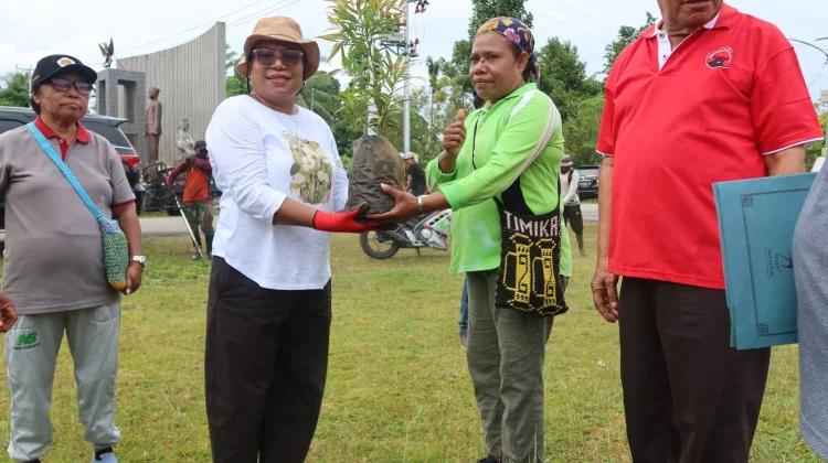 Bulan Bung Karno, Anggota DPR/MPR RI Ruth Rumkabu Bersama Warga Biak Bersihkan Taman