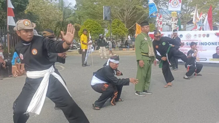 Parade Budaya Nusantara, Wajah Keberagaman di Biak Numfor Sambut HUT RI Ke-81