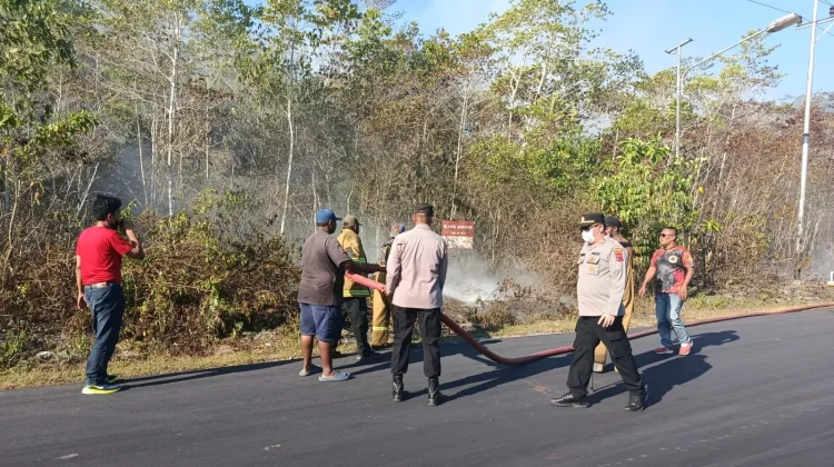 Cuaca Panas,Karhutla Terjadi disejumlah Wilayah di Biak Numfor