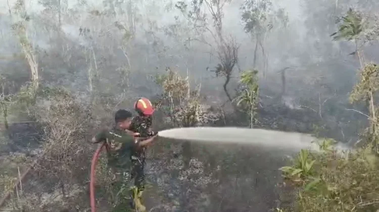 Cuaca Panas,Karhutla Terjadi disejumlah Wilayah di Biak Numfor