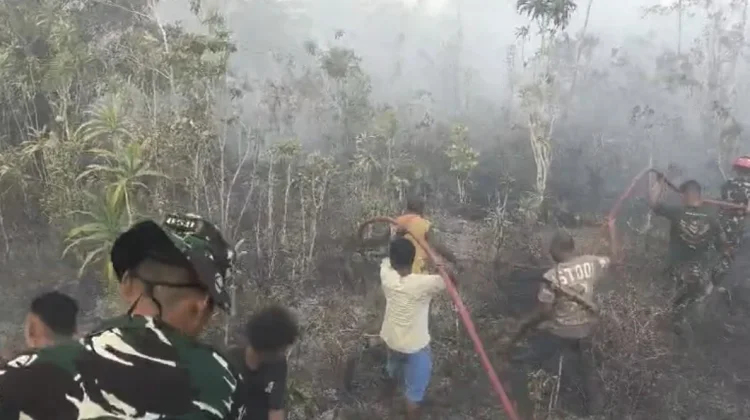 Cuaca Panas,Karhutla Terjadi disejumlah Wilayah di Biak Numfor