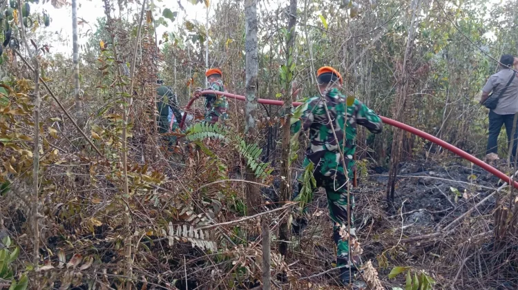 Sinergitas TNI-Polri, Pemda Biak Numfor Perkuat Kesiapsiagaan Hadapi Karhutla